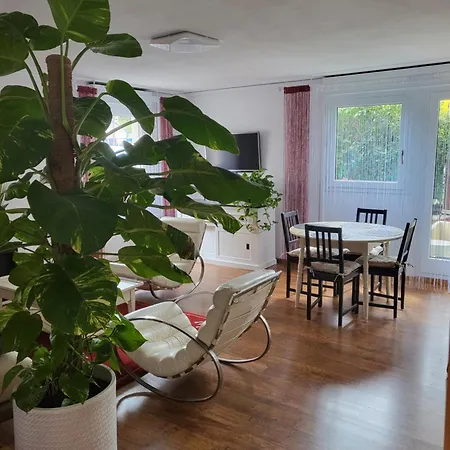 Appartement Coeur D'orangeraie *